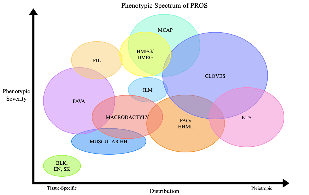 Rapid Response To Sirolimus In Patients With PIK3CA Related Overgrowth rapid-response-to-sirolimus-in-patients-with-pik3ca-related-overgrowth